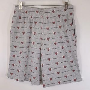 NBA Chicago Bulls Basketball Graphics RN109135 Fan Apparel Mens Size L Shorts